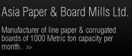 Asia Paper &amp Board